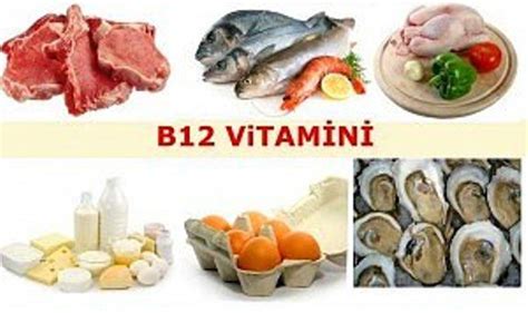 B12 vitamini kaynakları